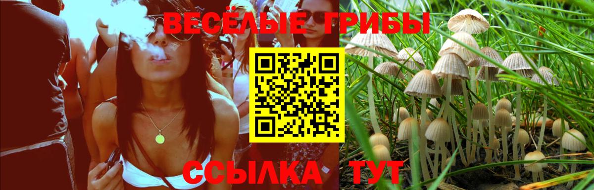 МАРИХУАНА  Вход с VPN  Анжеро-Судженск  Метамфетамин  Cocaine  Гашиш  Мефедрон  Мефедрон  
